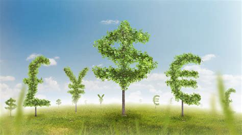 Image result for Money Tree Machine