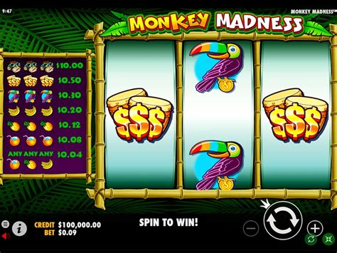 Monkey Madness Slot 🍒 Play For Real Money and Win