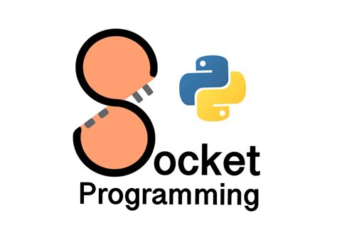 Python Socket Library 的图像结果