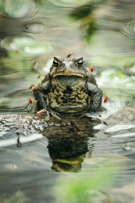 Anime+Girl+Ass+Wallpaper Photos, Download The BEST Free Anime+Girl+Ass ...