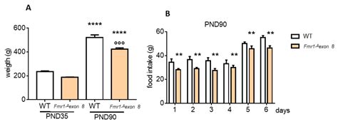 Brain Cholesterol Biosynthetic Pathway Is Altered in a Preclinical ...