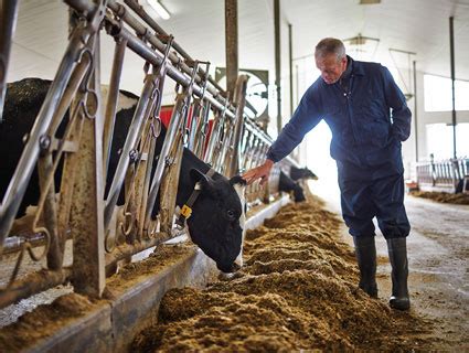 Animal Nutrition | Cargill India