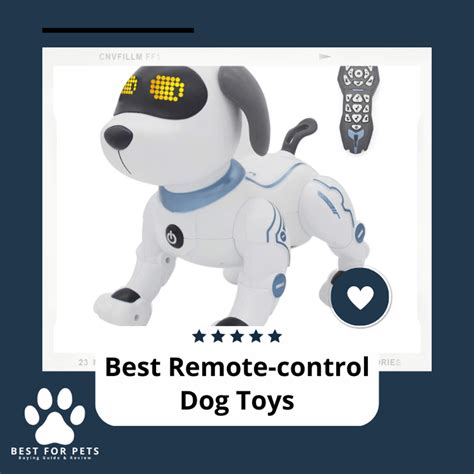 Image result for Remote Control Dog Toy