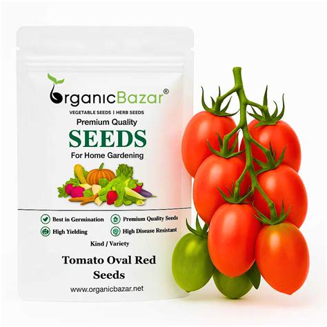 Buy Best Quality Tomato Oval Red Seeds Online - Organicbazar
