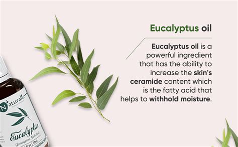 Naturalis Essence Of Nature Eucalyptus Essential Oil, Therapeutic Grade ...