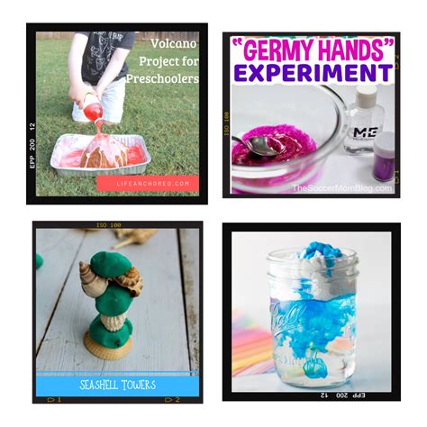 Projects for Stem 的图像结果