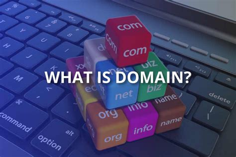 What are the Different Types of Domains?