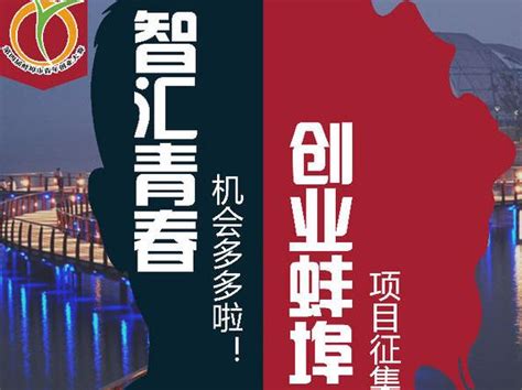 第六届全国创新创业论坛与产教融合高峰论坛在蚌埠召开 - 哔哩哔哩