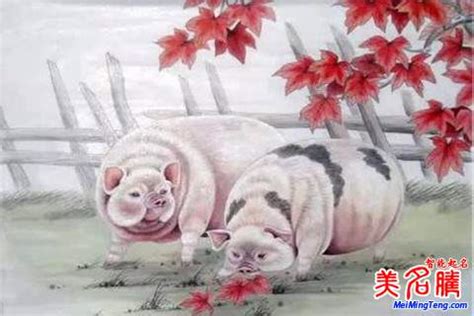 2019猪宝宝取名最吉利的起名用字_谢咏