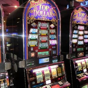 slotswinner cash gaming experience,this game offers p