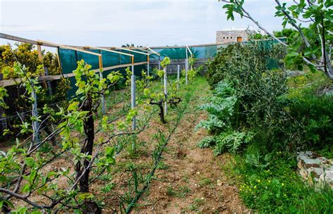 Local Food Production 的图像结果