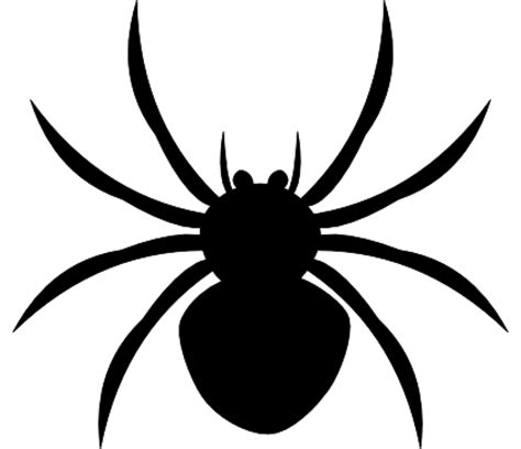 Spider Download Clip art - spider png download - 2170*1870 - Free ...