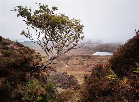 A Complete Guide to the Quiraing Walk on the Isle of Skye - Hiking Isle ...