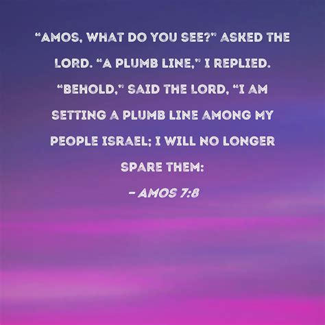 Amos 7:8 "Amos, what do you see?" asked the LORD. "A plumb line," I ...