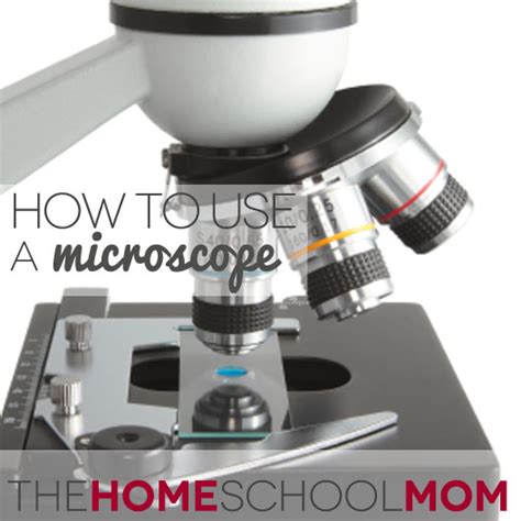 Image result for How to Use Microscope for Identification