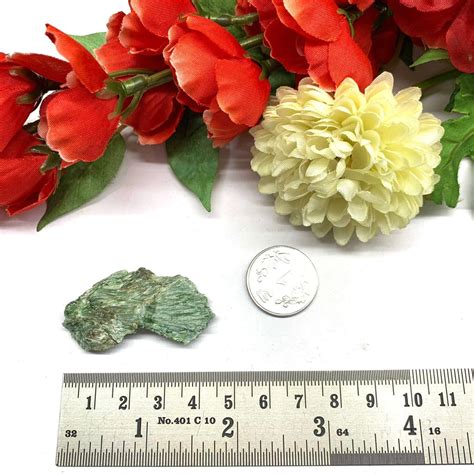 Actinolite strengthens the immune system buy at talk to crystals