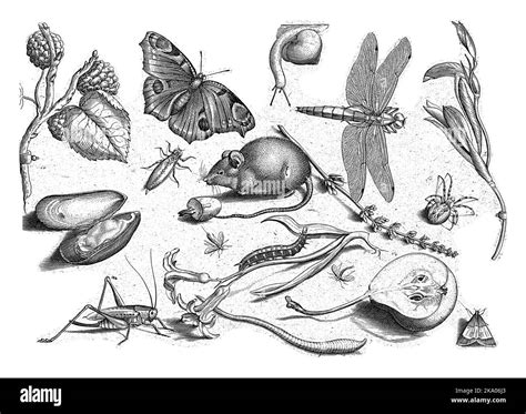 Print from a series of 48 prints, divided into four separate parts of ...