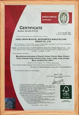 Company Overview - Hebei Jinyin Musical Instruments Manufacture Group ...