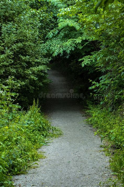 Walk Path 的图像结果