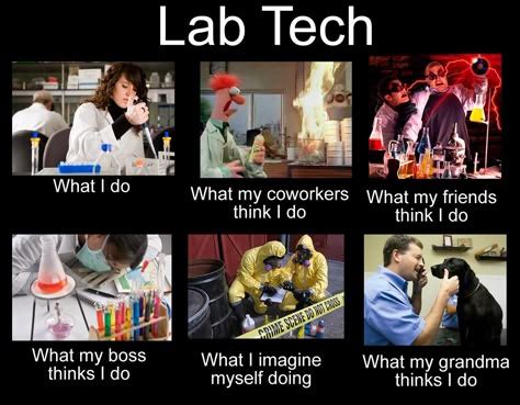 Image result for Lab Humor