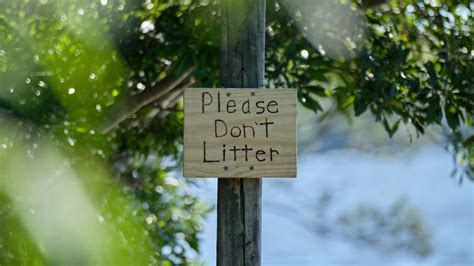 Wallpaper inscription please, text, words, branches hd, picture, image