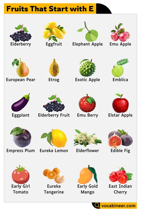 30 Fruits that Start with Letter E