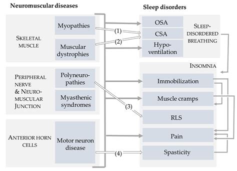Sleep Disorders in Neuromuscular Diseases: A Narrative Review