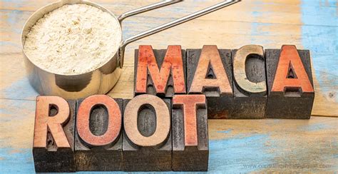 Image result for Natural Maca Root