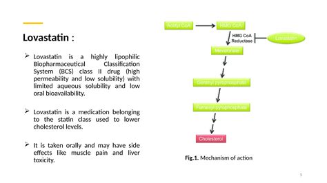 Development of an injectable alginate collagen hydrogel for cardiac delivery of extra cellular ...