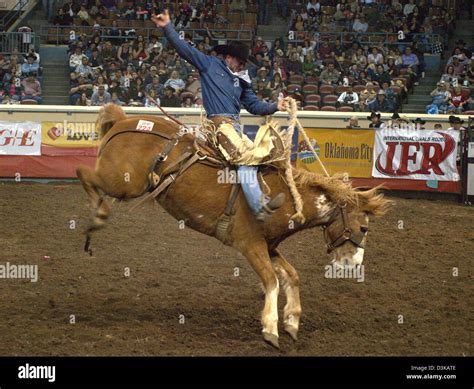 Cowboy riding bucking bronco horse during the National Finals Rodeo in Oklahoma City, Oklahoma ...