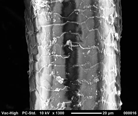 How Wide Is A Human Hair? - GA Fashion