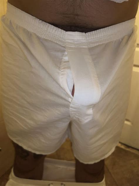 Bulging Boxer Tent 的图像结果