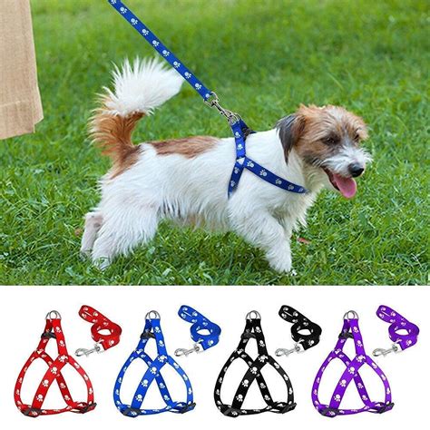 Woofy Nylon Adjustable Leash with Harness Set Printed Nylon Puppy ...