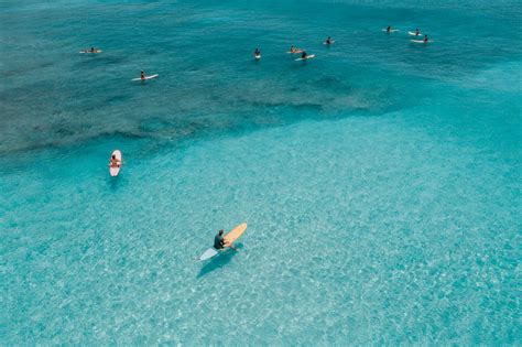 Swimming in Sea 的图像结果