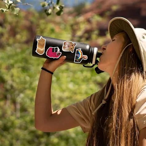 Buy 150 Pcs Funny Stickers,Meme Stickers,Funny Stickers for Adults ...