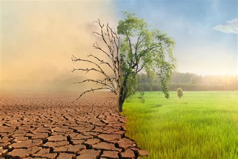 Regional initiative to tackle health impacts of climate change in ...