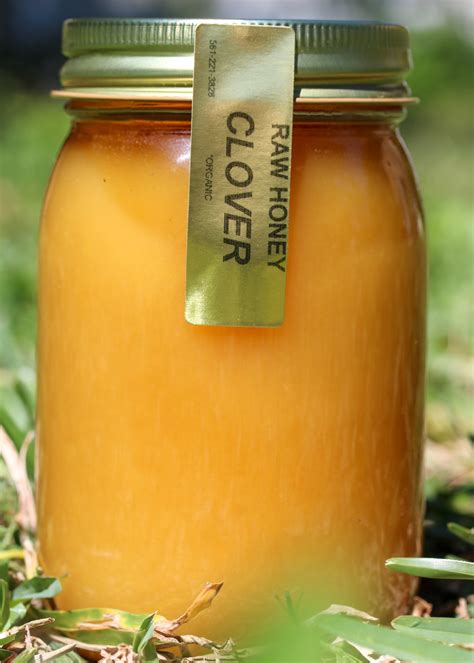 Raw Clover Honey
