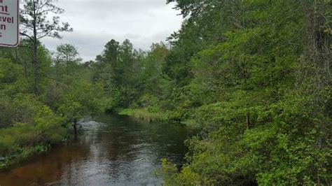 Turkey Creek Nature Trail (Niceville) - 2020 What to Know Before You Go ...