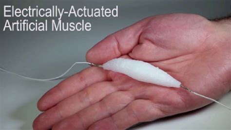 Image result for Artificial Muscle Based Robots