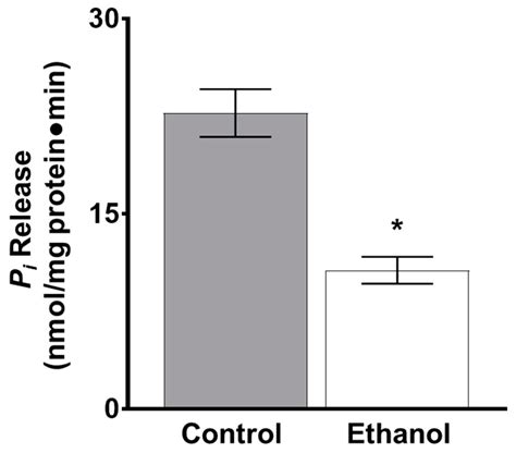 Moderate Alcohol Consumption Inhibits Sodium-Dependent Glutamine Co ...