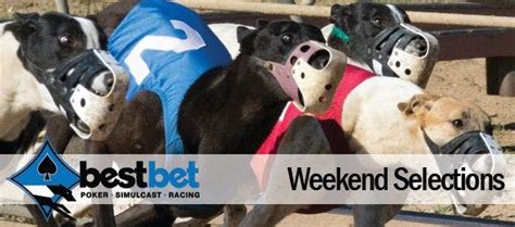 Top Races This Weekend | TwinSpires