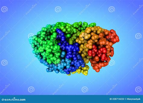 Space-filling Molecular Model of Human Salivary Amylase. Rendering ...