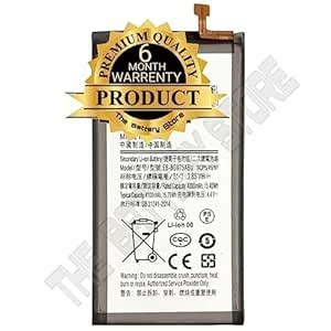 THE BATTERY STORE™ Original EB-BG975ABU Battery for Samsung Galaxy S10 ...