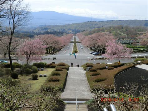 Oyama-cho Tourism (2024): All You Need to Know Before You Go