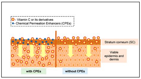 Chemical Permeation Enhancers for Topically-Applied Vitamin C and Its ...