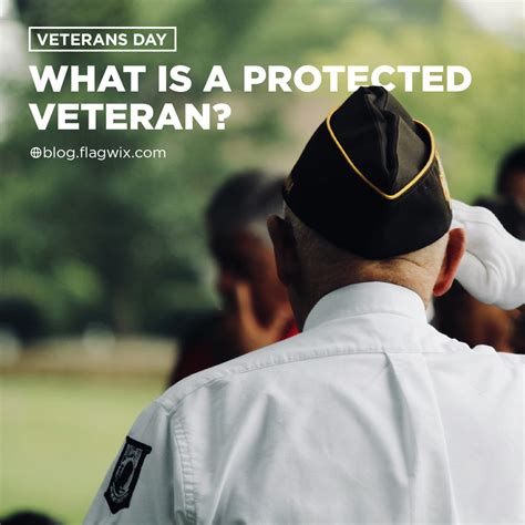 What Is A Protected Veteran? - Veterans Day | Blog Flagwix