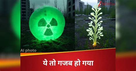 Organism living in radiatio filled Chernobyl scientists shocked help ...