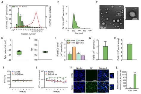 Perilla-Leaf-Derived Extracellular Vesicles Selectively Inhibit Breast ...