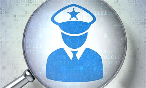 Image result for Role of Data Protection Officer Simple Explanation