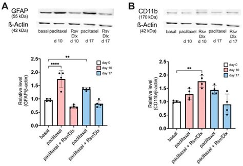 Rosuvastatin Synergistically Enhances the Antinociceptive Efficacy of ...